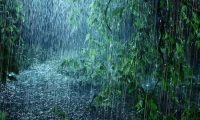 Rain: The "Once-in-300-Years" Lie and the Real Fallout