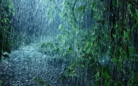 Rain: The "Once-in-300-Years" Lie and the Real Fallout