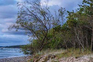 DeFi Tokens After the October Crash: The Real Investor Trends and What's Next for 2025