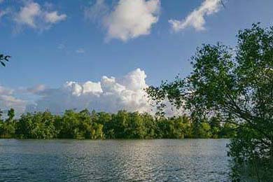 DeFi Tokens After the October Crash: The Real Investor Trends and What's Next for 2025