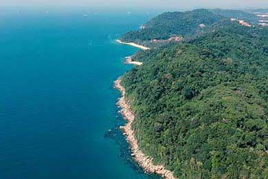 Halda Therapeutics: Stock Outlook